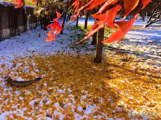 情侣唯美雪景图片，情侣唯美雪景图片真实（冬日初雪印象：一半冬雪）