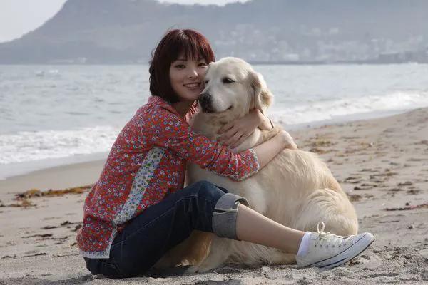 金毛寻回犬电影，不友善的六种小型犬（其他十部关于狗狗的电影）