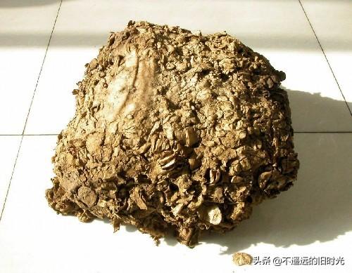 太岁在什么方位，2013年太岁在什么方位（来看看全国所发现的部份“太岁”长得啥样）