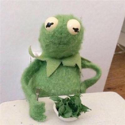 可爱青蛙头像，青蛙头像微信（青蛙头像卡通可爱大全）