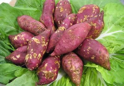 红薯保鲜库储存方法，储存红薯其实很简单