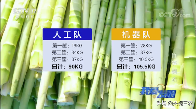 竹笋怎么剥皮，新鲜竹笋怎么剥皮详细图解（有了“王万能”发明的神器）