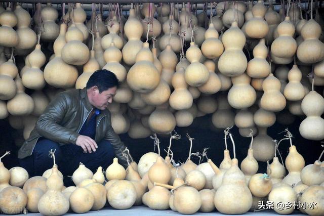 家里为什么不能挂葫芦，挂葫芦的忌讳（挂在家里能除邪）