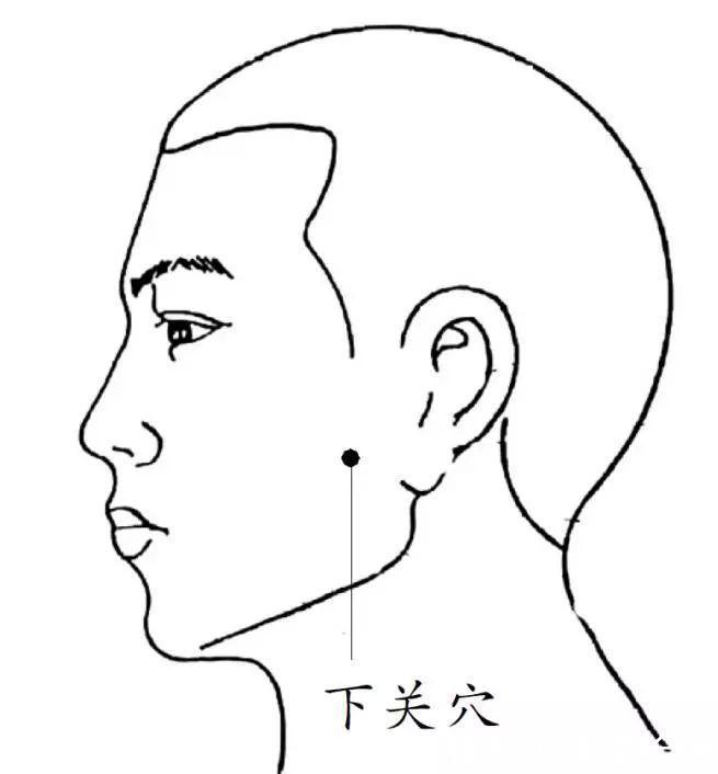 位于面部,耳前方,颧骨与下颌之间的凹陷处功效:清热疏风,通利关窍按摩