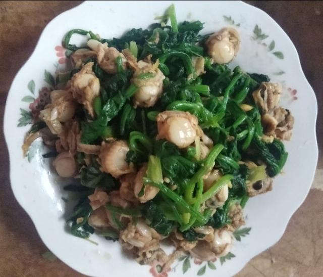 假鲍鱼怎么吃具体做法，假鲍鱼怎么吃具体做法大全（这六道海鲜小凉菜）