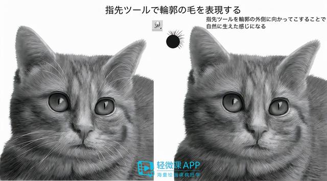 7步教你学会画老虎，7步教你学会画老虎视频（动物简单画法技巧）