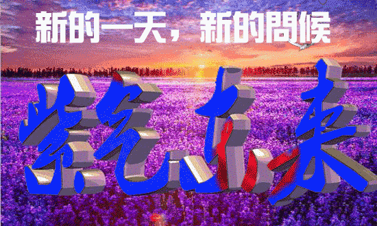 秘书节祝福语，部长祝福语简短（愿你这天好情绪）