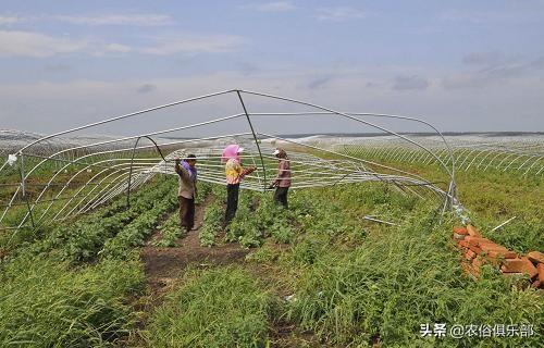 农村集体经济组织股权证什么意思，农村集体股权证是什么意思（农村集体经济组织股权证是什么）