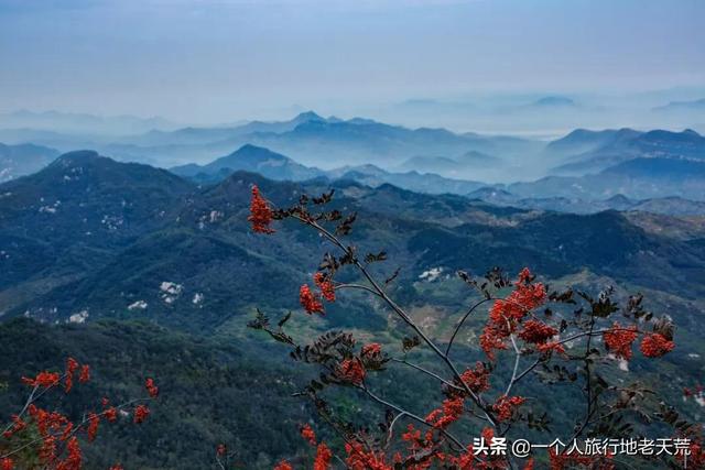 父母离婚怎么办，儿子读大学,父母离婚怎么办（供养了半个中国却总被误解）