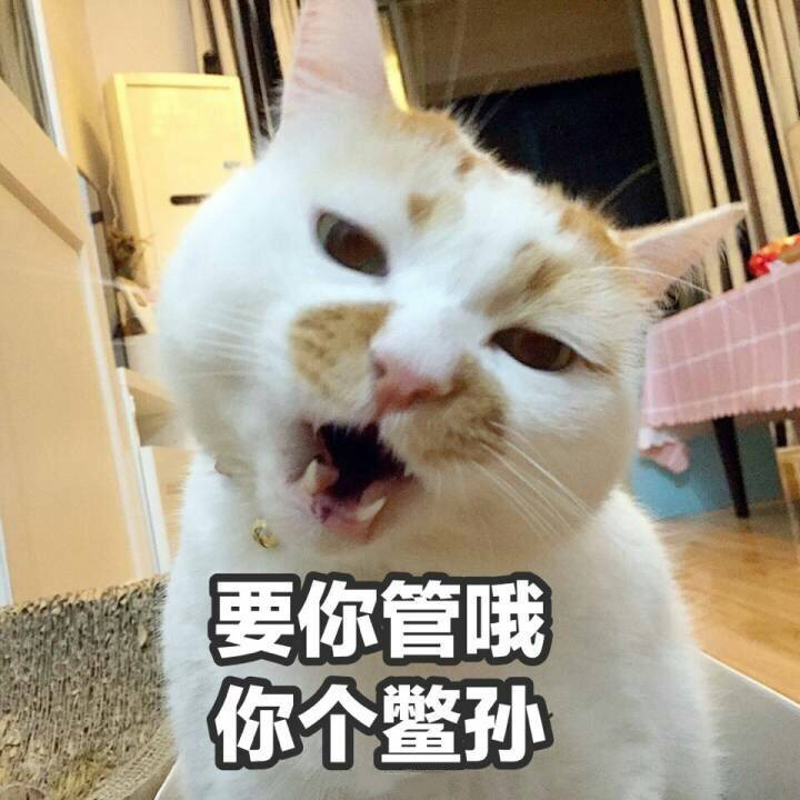 微信特效表情雨(微信除了炸屎和爱心还有什么)