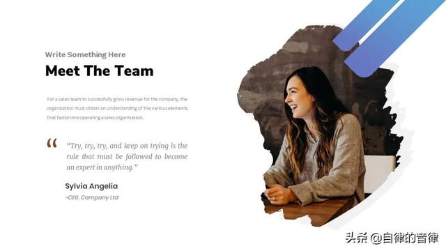 矢量文件是啥意思，矢量文件是啥意思呢（不知道笔刷在PPT里怎么用）