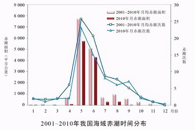 世界上最毒的海螺是什么，有剧毒的海螺（为何突然出现在吃了几十年的海鲜里）