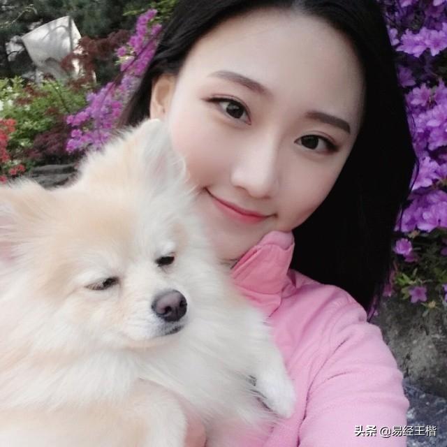 八字带戌亥不是凡胎，十二地支---戌<详解>（八字有戌亥）