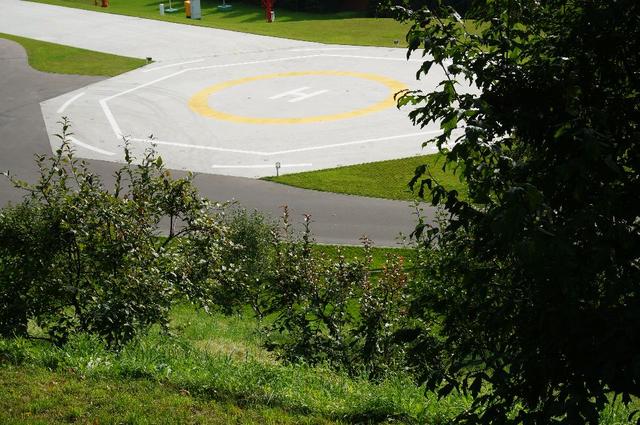 克里姆林宫在哪里，克里姆林宫教堂群有哪些教堂（莫斯科克里姆林宫）