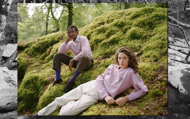 fw系是什么意思，fw 什么意思（谁还不会从大自然找灵感）