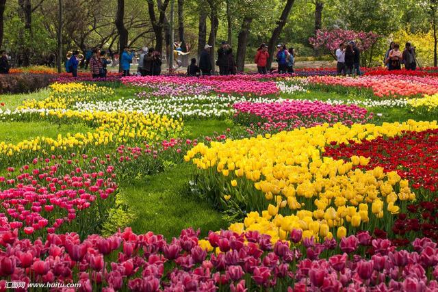 师德表现自我评价简短100字，师德表现（教师师德师风自我评价范文）