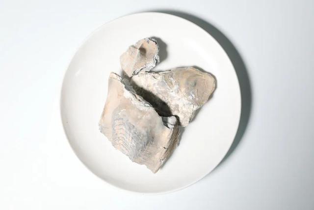 牡蛎是什么，牡蛎是什么字（<牡蛎>莎士比亚和莫泊桑都说它了）