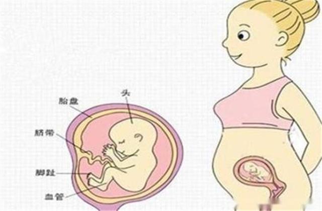 五个月最准怀男孩胎动，怀孕五个月男孩胎动特点（男孩胎动真的比女孩早吗）
