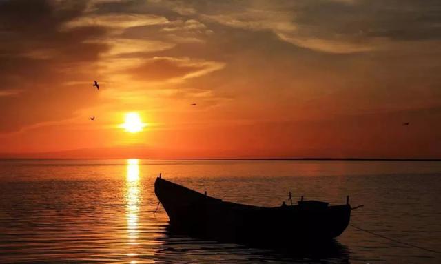 阜怎么读，阜怎么读什么意思（新疆16个最容易读错的地名）