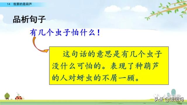 什么的枝叶填空，什么枝叶填空二年级（部编版二年级上册第14课《我要的是葫芦》课件及同步练习）