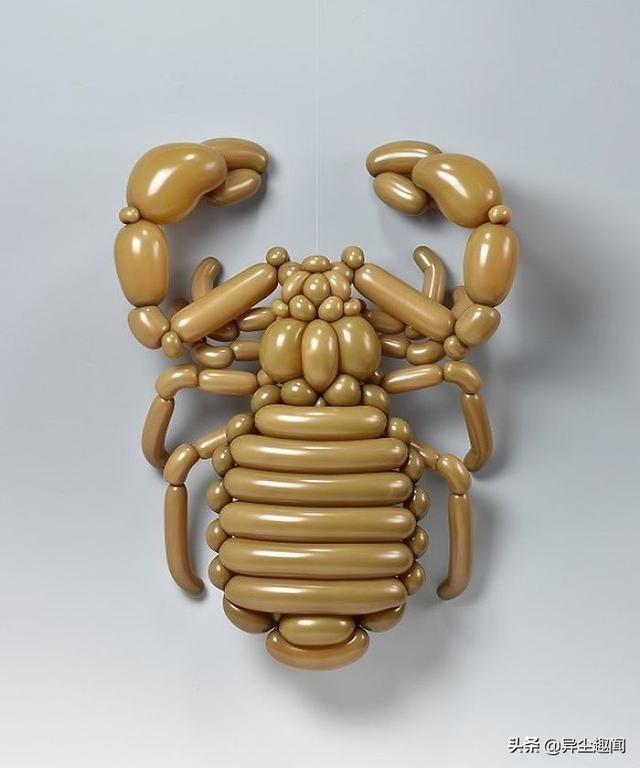 用气球做小动物教程，教你用气球做小狗的方法（日本艺术家用气球制作了令人难以置信的动物模型）