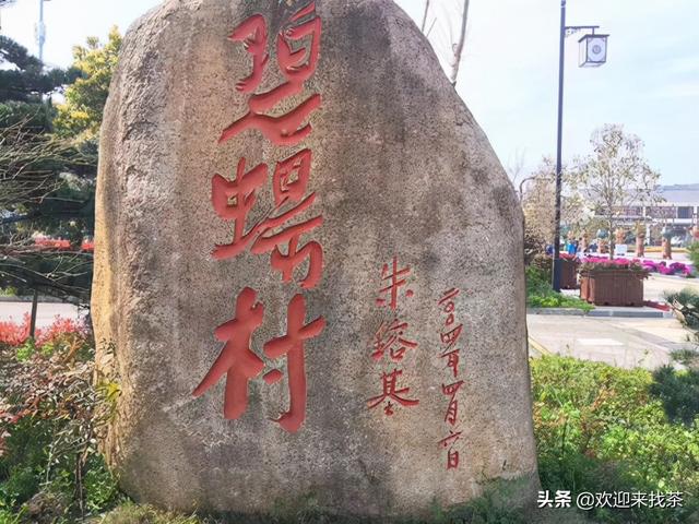 碧螺春是什么茶，百度碧螺春是什么茶（正宗的碧螺春茶是哪里产的）