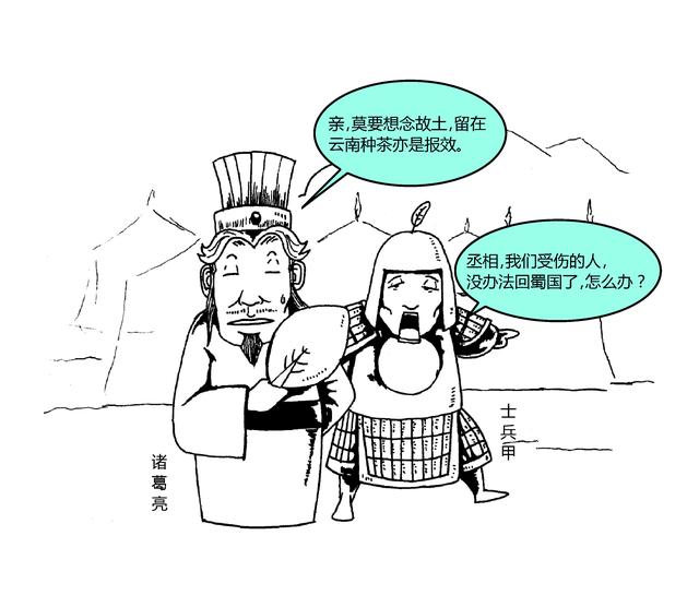 普洱茶珍属于什么茶，普洱茶包含哪些（三分钟读懂普洱茶的前世今生）