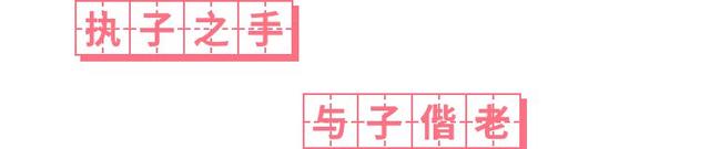 持子之手与子偕老是什么意思，持子之手与子偕老下半句怎么说（“执子之手与子偕老”原来是兄弟情）