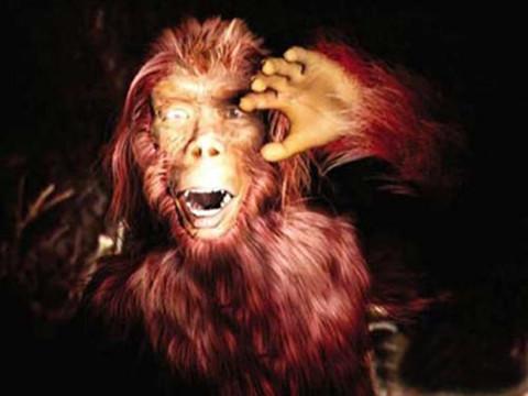 神农架的野人传说故事最早，神农架野人是一个虚幻的传说吗