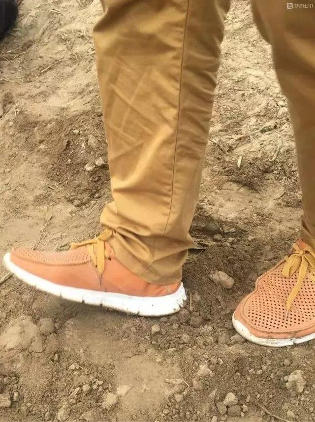 芍药不开花的解决办法，芍药一直不开花怎么办（开花个个比拳头大）