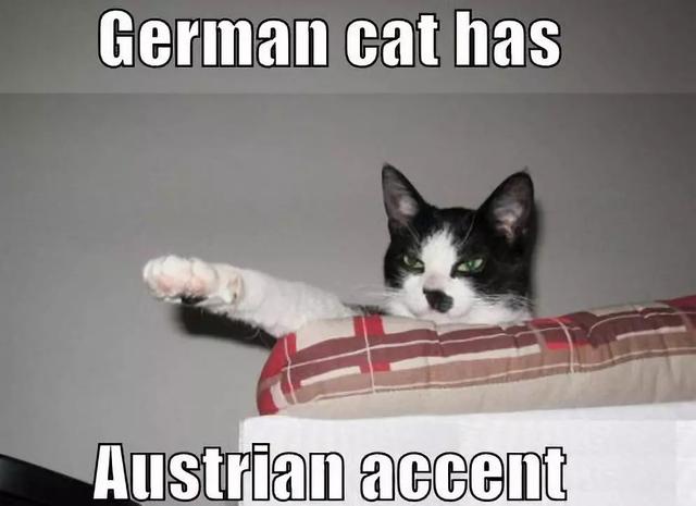 莫扎特是哪国人，莫扎特是哪国的（欧洲最难相处的凭什么是奥地利人）