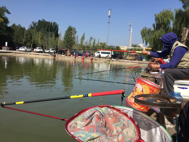 我的鱼塘是什么意思，你的鱼塘啥意思（黑坑特有的“签票”和“退票”）