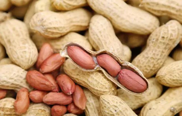 豆腐的做法大全家常，24种豆类杂粮大全（豆腐的做法大全家常）