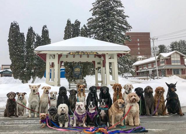 是不是只有同幂数才能相加减，不同幂的加减法怎么算（还能让它们集体看镜头进行拍照）