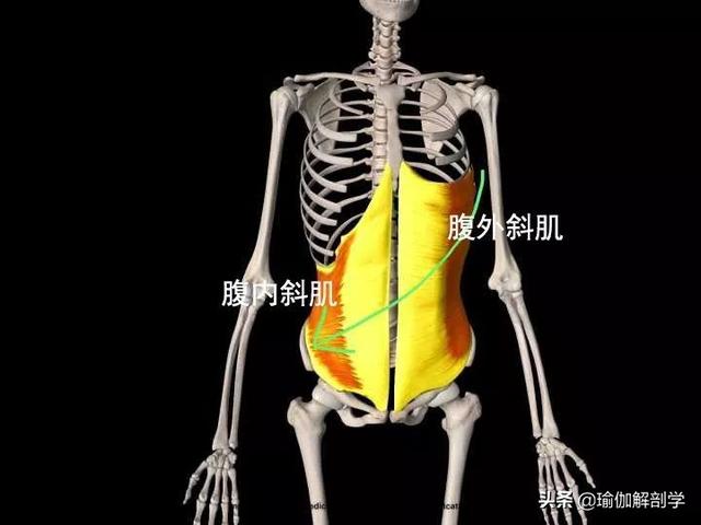 瑜伽减肥瘦腰方法，瑜伽减肥瘦腰方法图解（4个简单瑜伽动作每天躺着练）