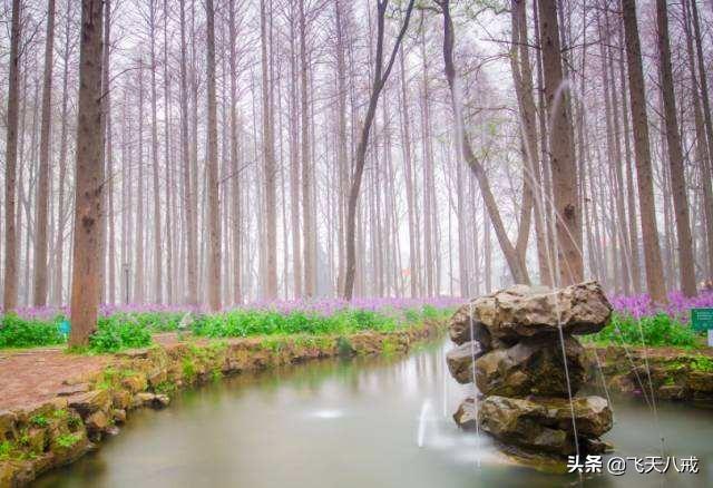 南京景点介绍，南京一日游必去景点推荐（南京九个不得不去的小众景点）