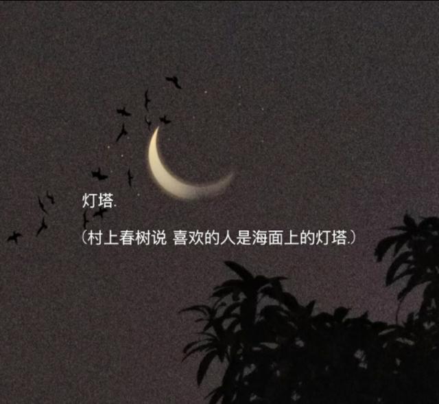 有特殊意义的网名，拥有特殊意义的网名（喜欢的人是海面上的灯塔）