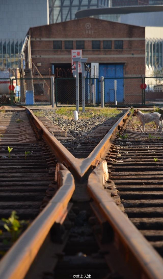 滨海北站在哪，高铁滨海北站在哪（中国最老的火车站滨海新区塘沽南站）