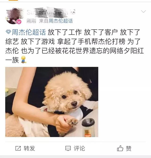 你一票我一票 顺口溜，你拍一我拍一的顺口溜（周杰伦超话破亿：出道20年）