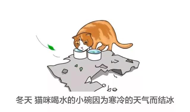 如何做一个定制猫窝，如何制作一个猫窝（看百度工程师研发的流浪猫智能猫窝）