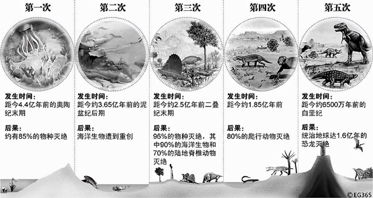 地球死了图片（科学家称地球正在死亡）