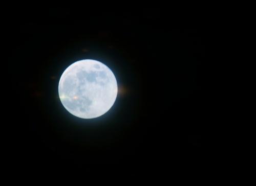 梦见麻雀是什么意思，女人梦见麻雀是什么意思（各种胎梦，你做过哪些呢）