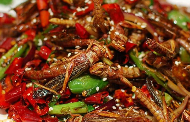 炸蚂蚱全身都可以吃吗，油炸的蚂蚱能吃吗（吃起来也是嘎嘣脆）