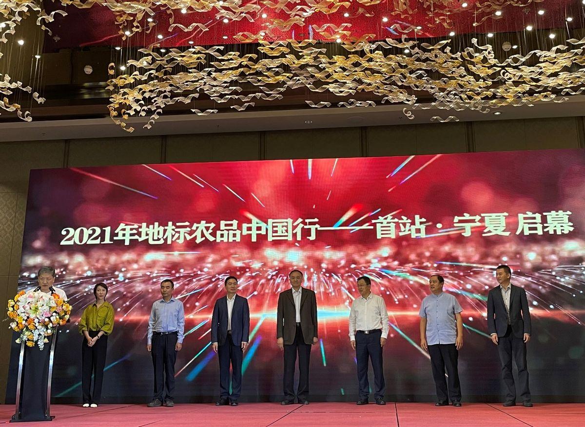 拼多多知识产权(知识产权专利)