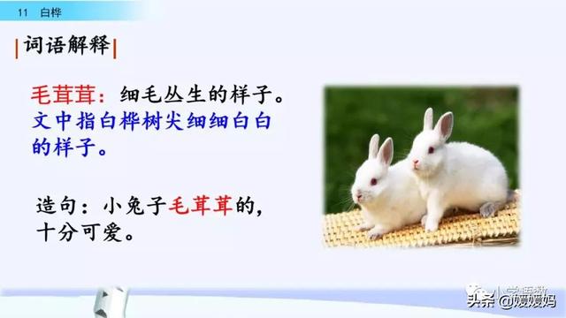 悠扬的近义词，“悠扬”的近义词是什么（四年级下册语文第11课《白桦》图文详解及同步练习）