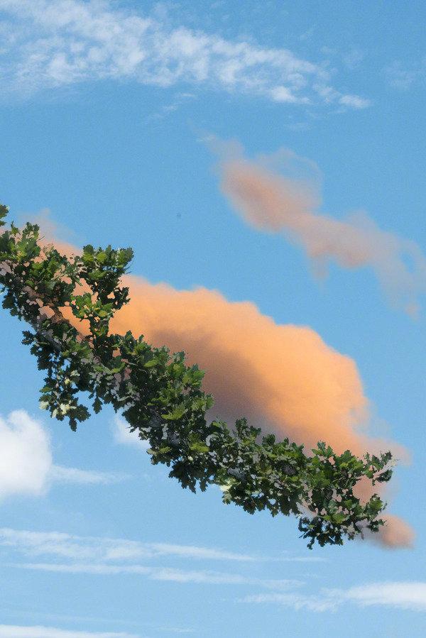 可爱云朵，微信头像，可爱云朵（路过一片云朵。）