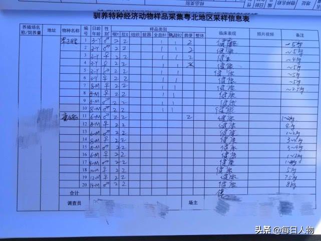每日农经养牛(三农养牛致富经)