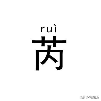 ?怎么读什么意思，仵怎么读姓氏（看完后可不能再读错了）
