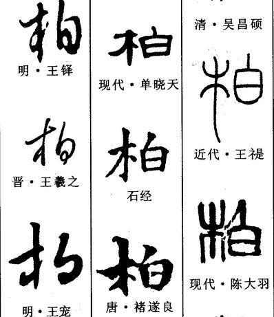 2,"柏"读了这么多年,你真的念正确了吗?柏姓人自己都可能弄错