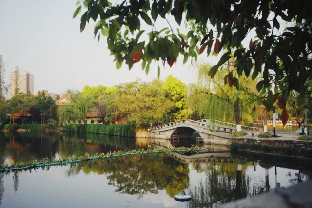 昆明周边好玩的地方，昆明周边好玩的地方有哪些（来到四季如春的昆明）